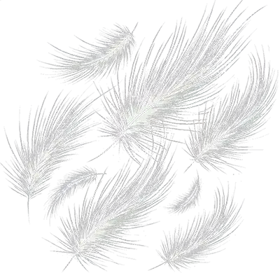 Alergeni u namestaju i dusecima